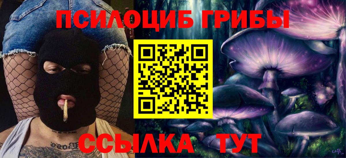 Галлюциногенные грибы прущие грибы  Вход с VPN  Нальчик  Галлюциногенные грибы GOLDEN TEACHER 