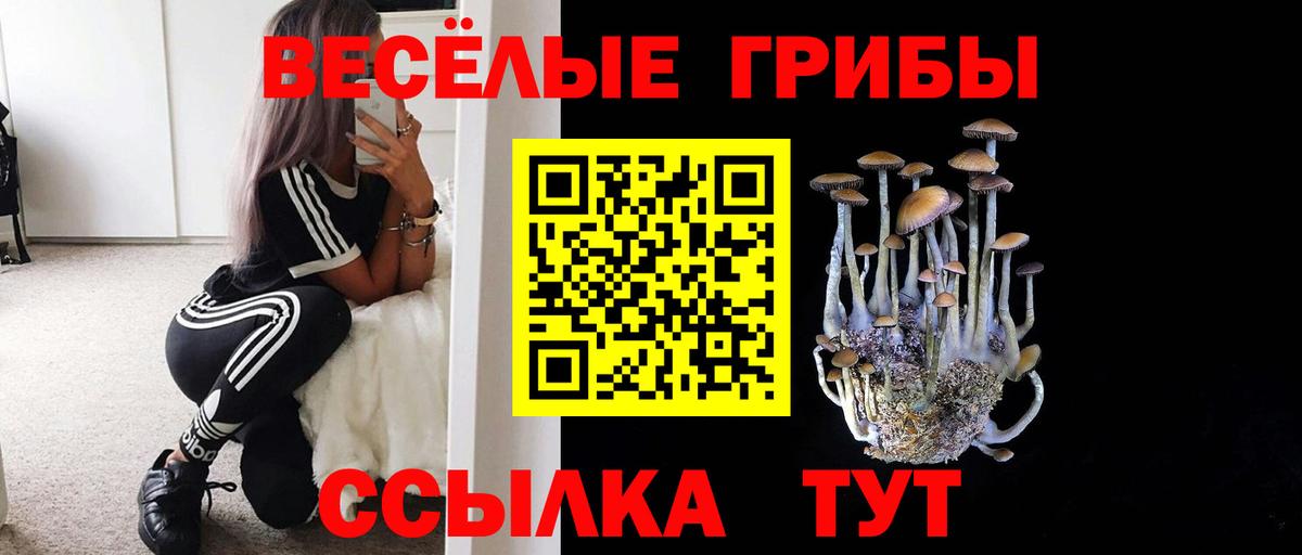 Галлюциногенные грибы MAGIC MUSHROOMS Нальчик